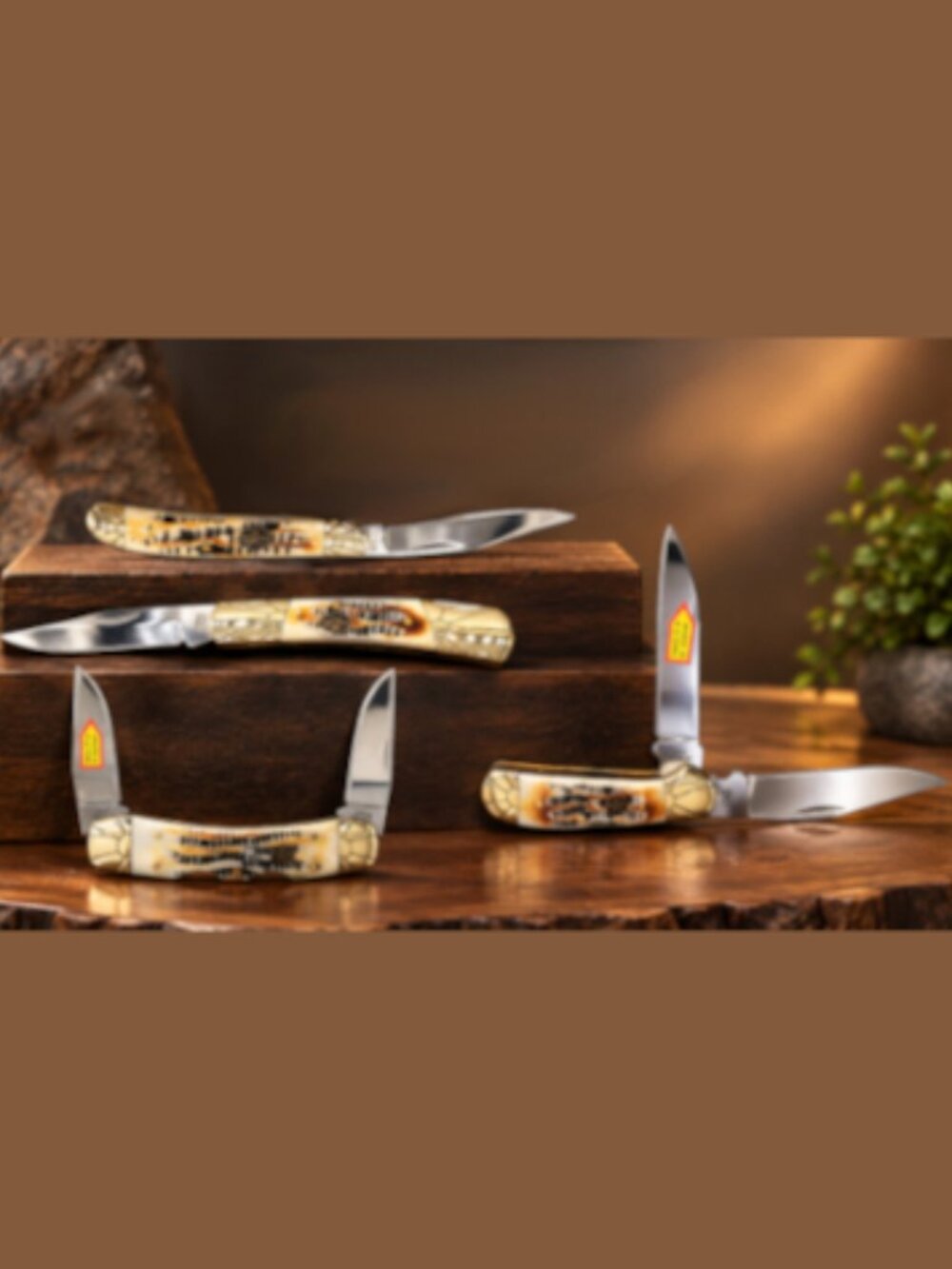 Frost Cutlery Mustang Mojave Bone 4-Piece Pocket Knives Set